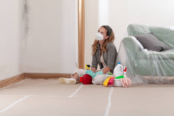 Reliable Black Mold Removal contractor in Williamsburg, KY by WQB Mold Removal